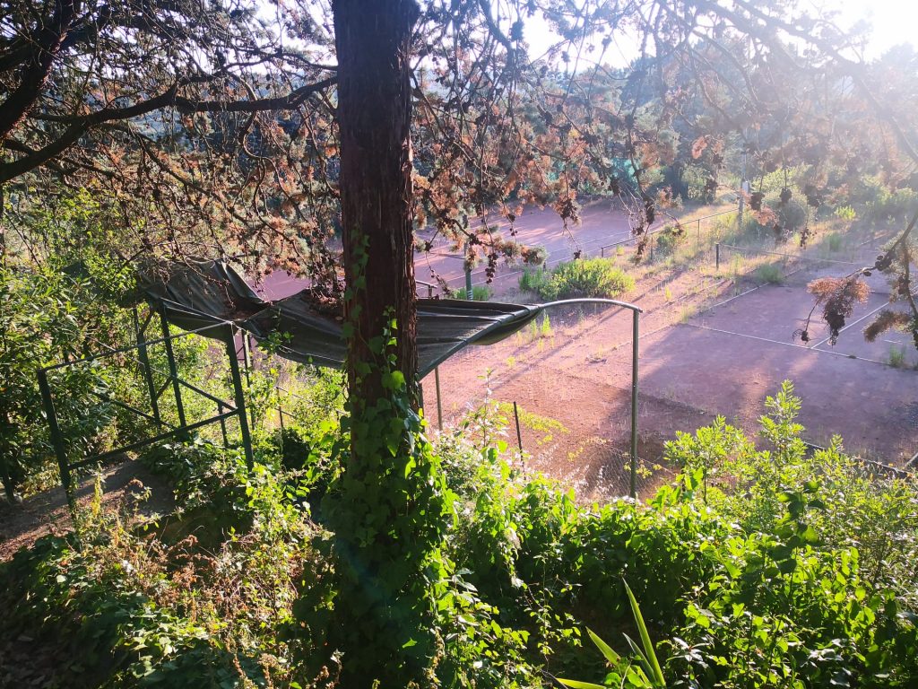 Campo da tennis San Quirichino 3